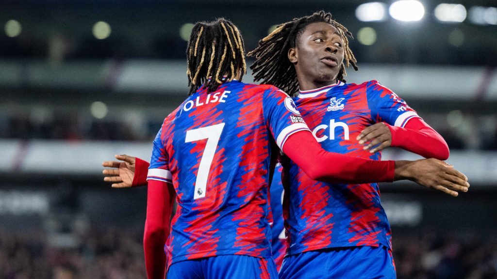 Crystal Palace v Wolverhampton Wanderers - Premier League