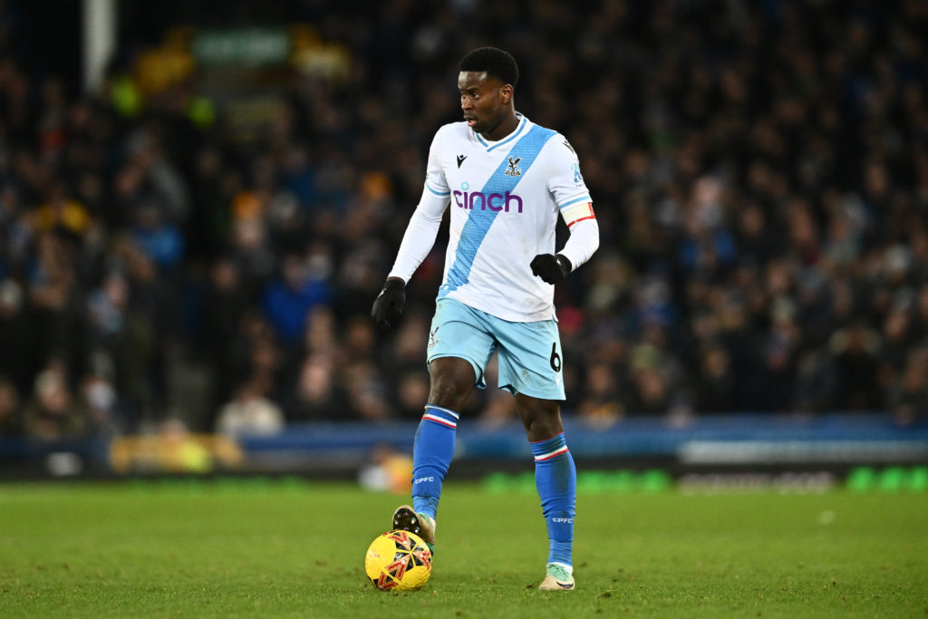Everton v Crystal Palace - Emirates FA Cup Third Round