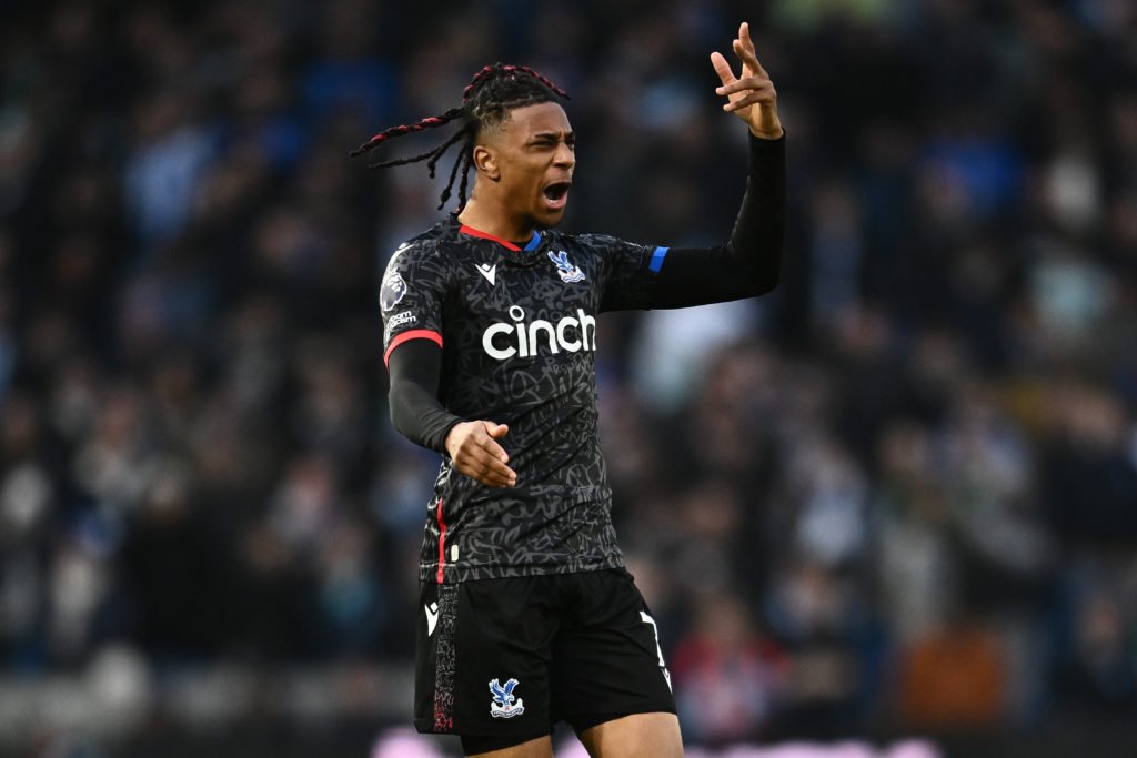 Brighton & Hove Albion v Crystal Palace - Premier League