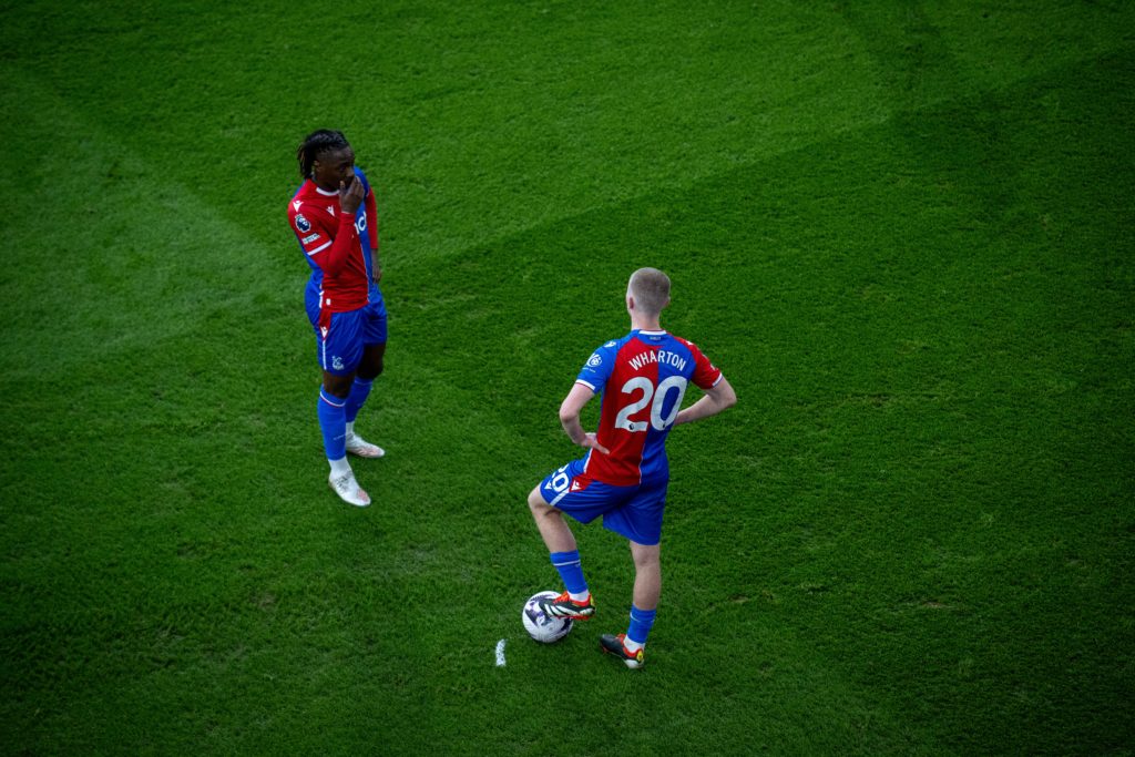 Crystal Palace v Luton Town - Premier League