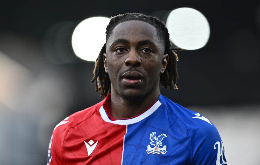 Crystal Palace v Luton Town - Premier League