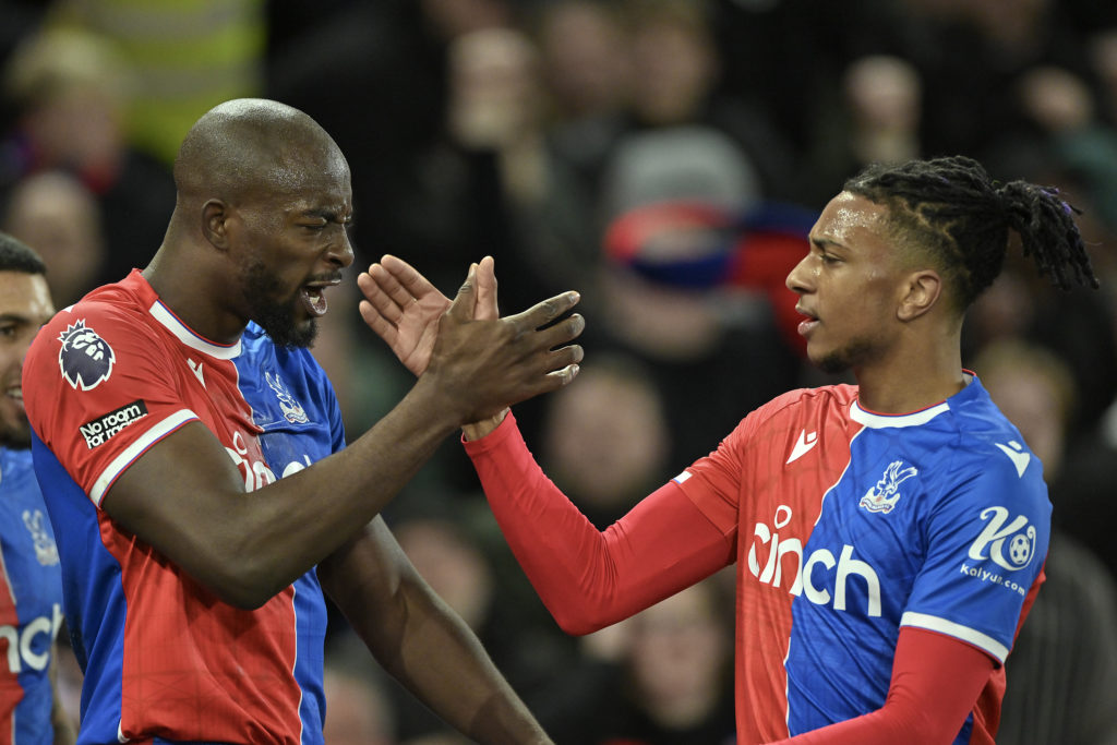 Crystal Palace v Newcastle United - Premier League