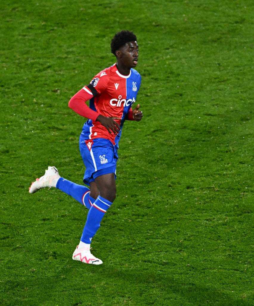 Crystal Palace v Tottenham Hotspur - Premier League