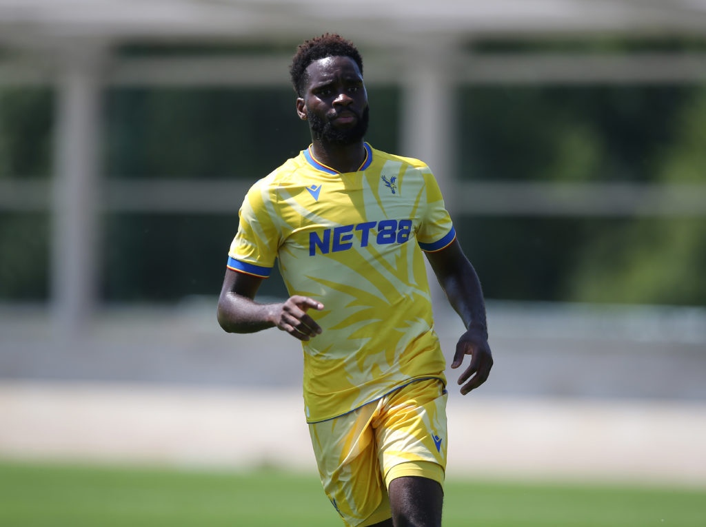 Crystal Palace v Charlton Athletic - Pre-Season Friendly