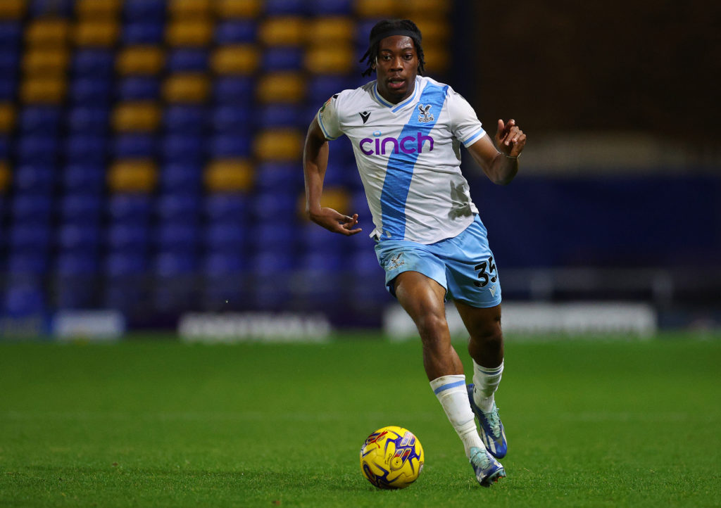 AFC Wimbledon v Crystal Palace U21 - Bristol Street Motors Trophy