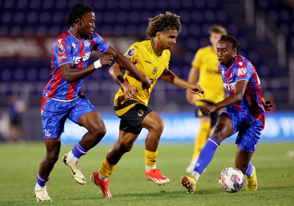 Crystal Palace v Wolverhampton Wanderers - Pre-Season Friendly
