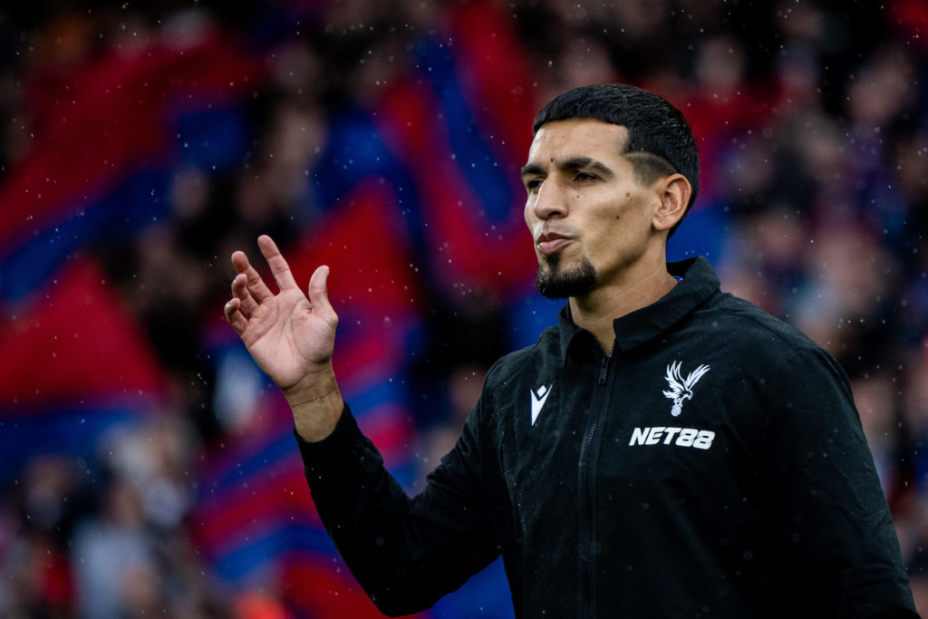Crystal Palace FC v West Ham United FC - Premier League