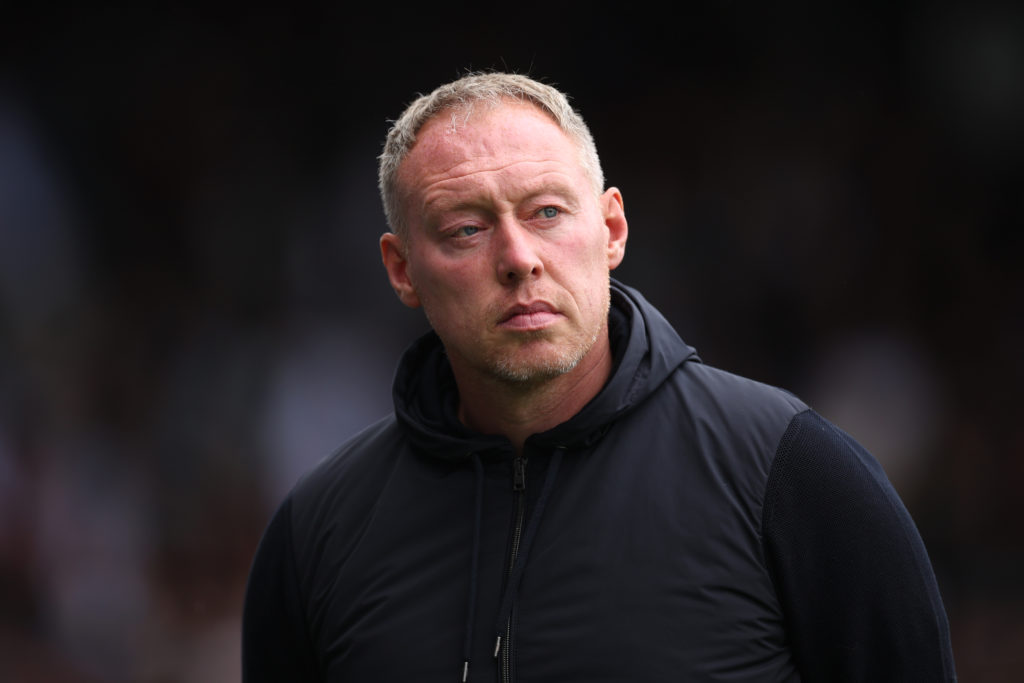 Fulham FC v Leicester City FC - Premier League