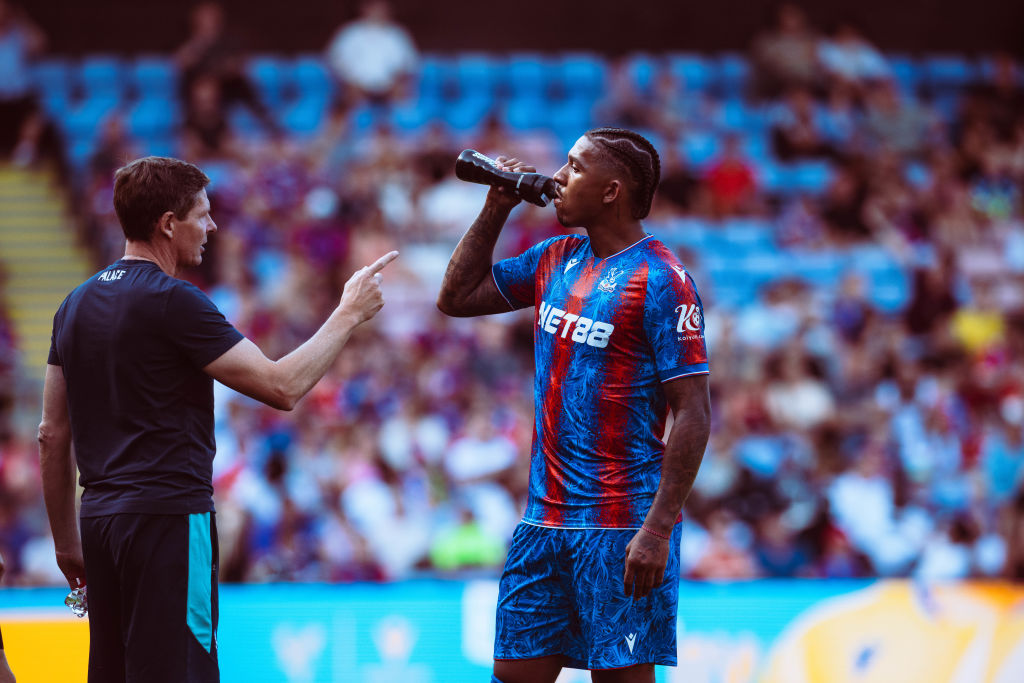Crystal Palace v FC Nantes - Pre-Season Friendly